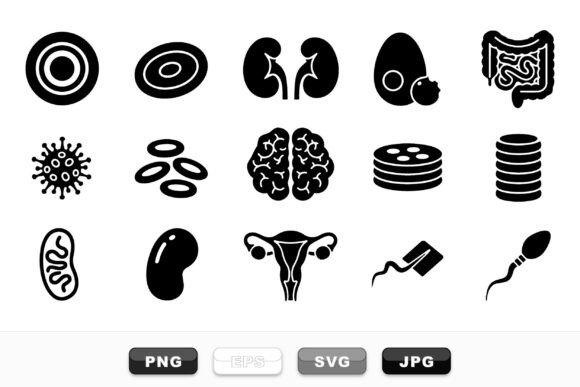 Human Organs Medical Icons Set